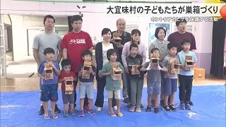 ホントウアカヒゲの巣箱づくり　大宜味村の子どもたちが挑戦（沖縄テレビ）2025/5/06