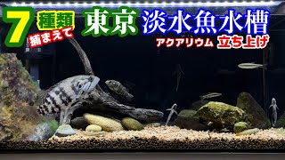 【アクアリウム立ち上げ】東京で熱帯魚みたいな在来魚を捕まえて日本淡水魚水槽を立ち上げる【川ガサガサ→飼育】