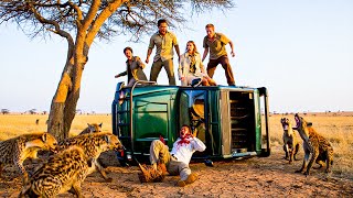 【映画紹介】家族の夢のサファリが、ハイエナの群れがバンを襲い、必死の生存をかけた戦いを引き起こす悪夢に変わる。
