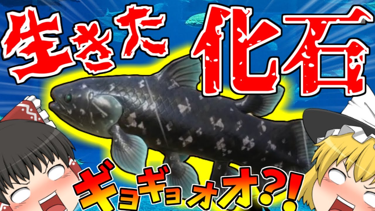 サムネ
