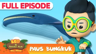 Paus bungkuk bernyanyi! 🎶 | Episode Penuh | Leo Si Penjaga Alam | #hewan