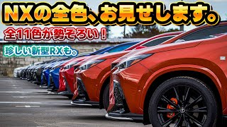 【11色全て揃う】レクサスNX全てのカラー集結してみた。グリル塗装した新型RXも！大規模オフ会 第17回 NEXUS MEETS at 埼玉にてレクサスNXが全色揃う！
