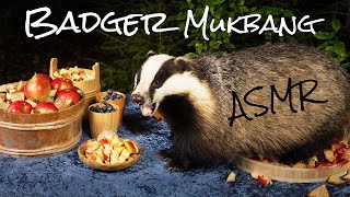 Badger Mukbang - An all you can eat buffet for badgers (ASMR Version)