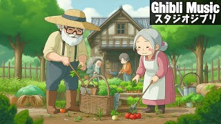 Ghibli Relaxing 💓 Ghibli Piano 💓 Relaxing Music 🎶🎶 Spirited Away, Laputa, Howl's Moving Castle,...