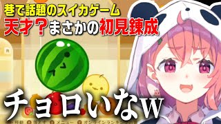 天才？話題のスイカゲームでまさかの初見錬成する笹木咲【にじさんじ/笹木咲/切り抜き】