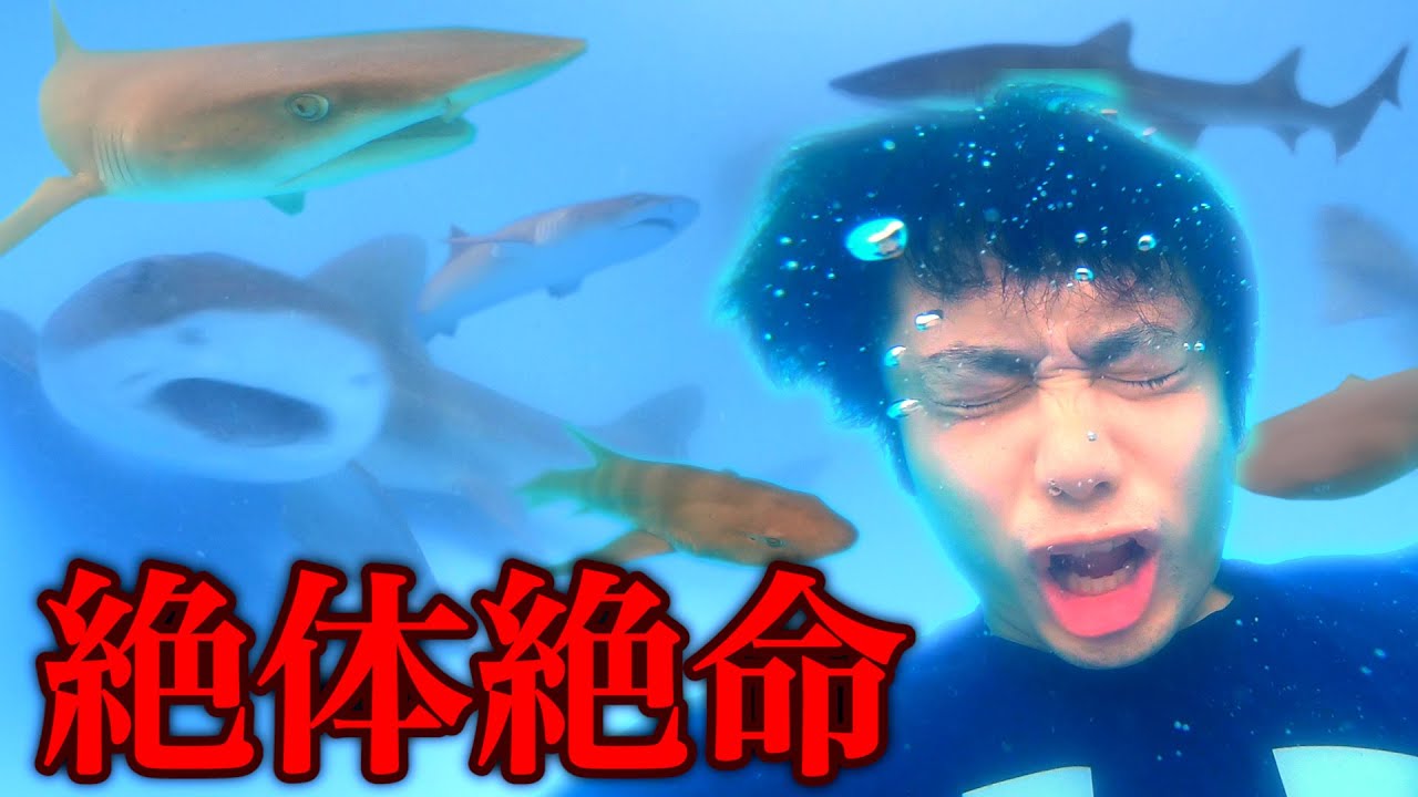 サムネ