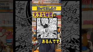 【ワンピースネタバレ】マジで分かっちゃいました。222