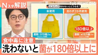 “5月の食中毒”に要注意！「食中毒対策は買い物の時から始まっている」エコバッグにも落とし穴？見落としがちな盲点とは【Nスタ解説】｜TBS NEWS DIG