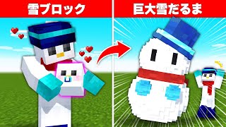 【マイクラ】1週間で「いろいろなブロック」を育ててみた結果！？