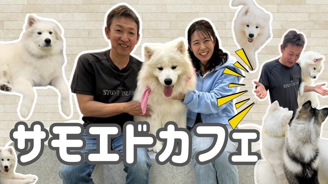 サムネ