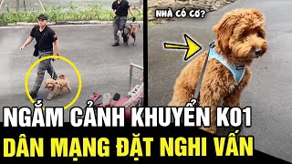 Chú "CẢNH KHUYỂN" cực cute khiến dân tình đặt nghi vấn: nhà chắc "CÓ CƠ TO LẮM" | Tin nhanh 24h