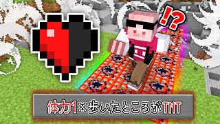 【マイクラ】体力1×歩いたところがTNTになる世界でエンドラ討伐！