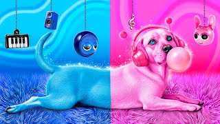 I rescued a homeless dog! We're building a secret room for pets! Blue vs. Pink