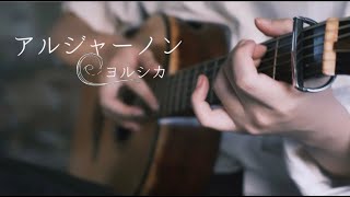 【ギター】アルジャーノン(Algernon) / ヨルシカ(Yorushika) - Saku