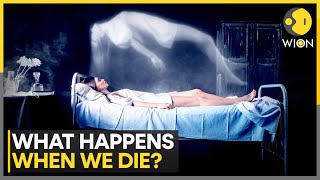Study: We Emit Visible Light That Vanishes When We Die | World News | WION