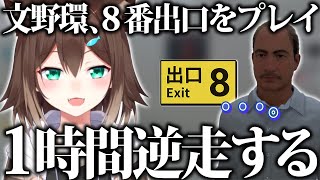 【指示厨涙目】8番出口でルールが分らず1時間逆走する文野環【にじさんじ/切り抜き】