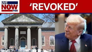 BREAKING: Trump calls to revoke Harvard's tax exempt status