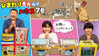 モニタリング！誰の猫ハウスが一番人気！？ルイモカにHIMAWARIハウス７号を作ろう！himawari-CH