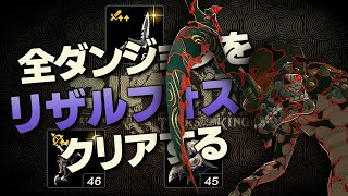 オールダンジョン装備縛り攻略解説『リザルフォス編』【ゼルダの伝説 ティアーズ オブ ザ キングダム】