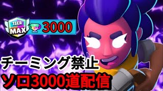 【ブロスタ】チーミング禁止、シェリーソロ3000道配信