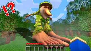 午前３時に【ブルブルパタピム】を捕まえようとした結果…⁉️【マイクラ マインクラフト】ぽっぴんず