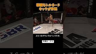 #格闘技　華麗な大技が決まった瞬間【格闘技解説】