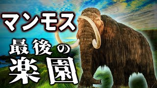 【ゆっくり解説】最後まで生き延びたマンモス　絶海の孤島で何が起きたのか？
