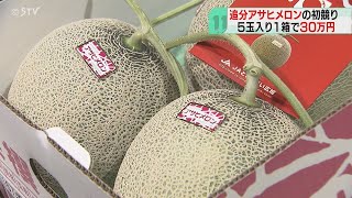 夏の味覚・追分アサヒメロン　ご祝儀価格５玉で３０万円　ことしは大ぶり「甘い！おいしい！」　北海道